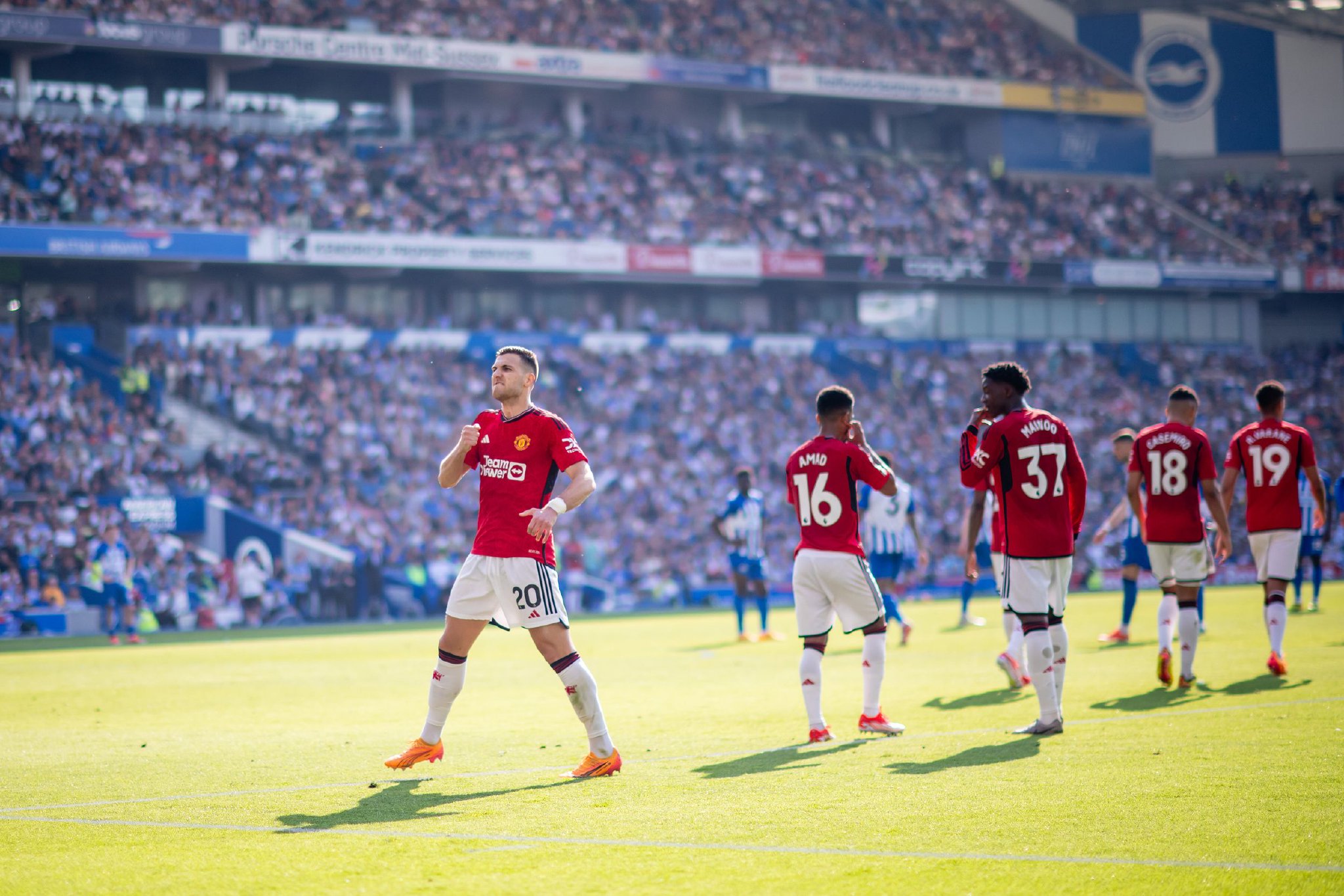 切尔西和马 切尔西和马