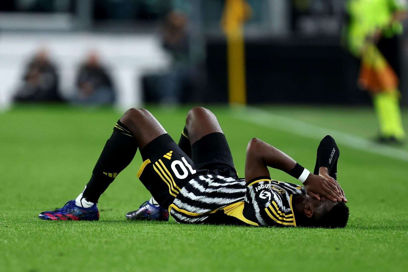 媒体粉丝数 媒体粉丝数